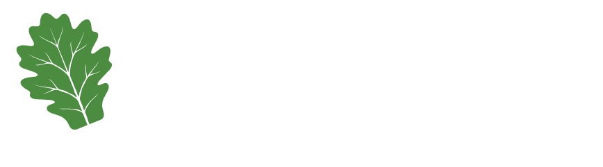 Estrom (arendus)